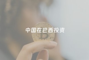 中國(guó)在巴西投資 基礎(chǔ)設(shè)施、能源與票務(wù)代理服務(wù)的全面布局